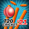 T20 Cricket 2022 Zeichen