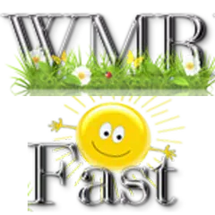 Скачать WMRFast - эффективная раскрутка проектов APK