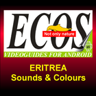 Sounds and Colours of Eritrea ícone