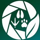 FaunaNote: Animal Scanner aplikacja