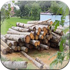 list of woods APK
