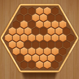 Wooden Hexagon Block