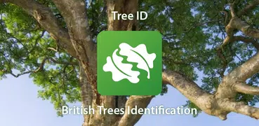 Tree ID - British trees