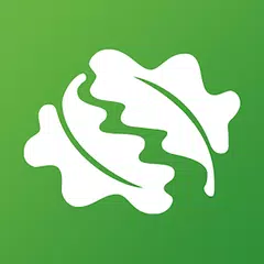 Скачать Tree ID - British trees XAPK