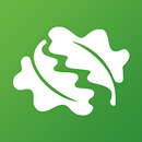 APK Tree ID - British trees
