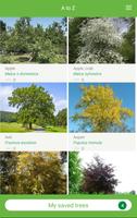 Tree ID - British trees capture d'écran 2