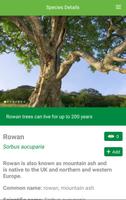 Tree ID - British trees capture d'écran 3