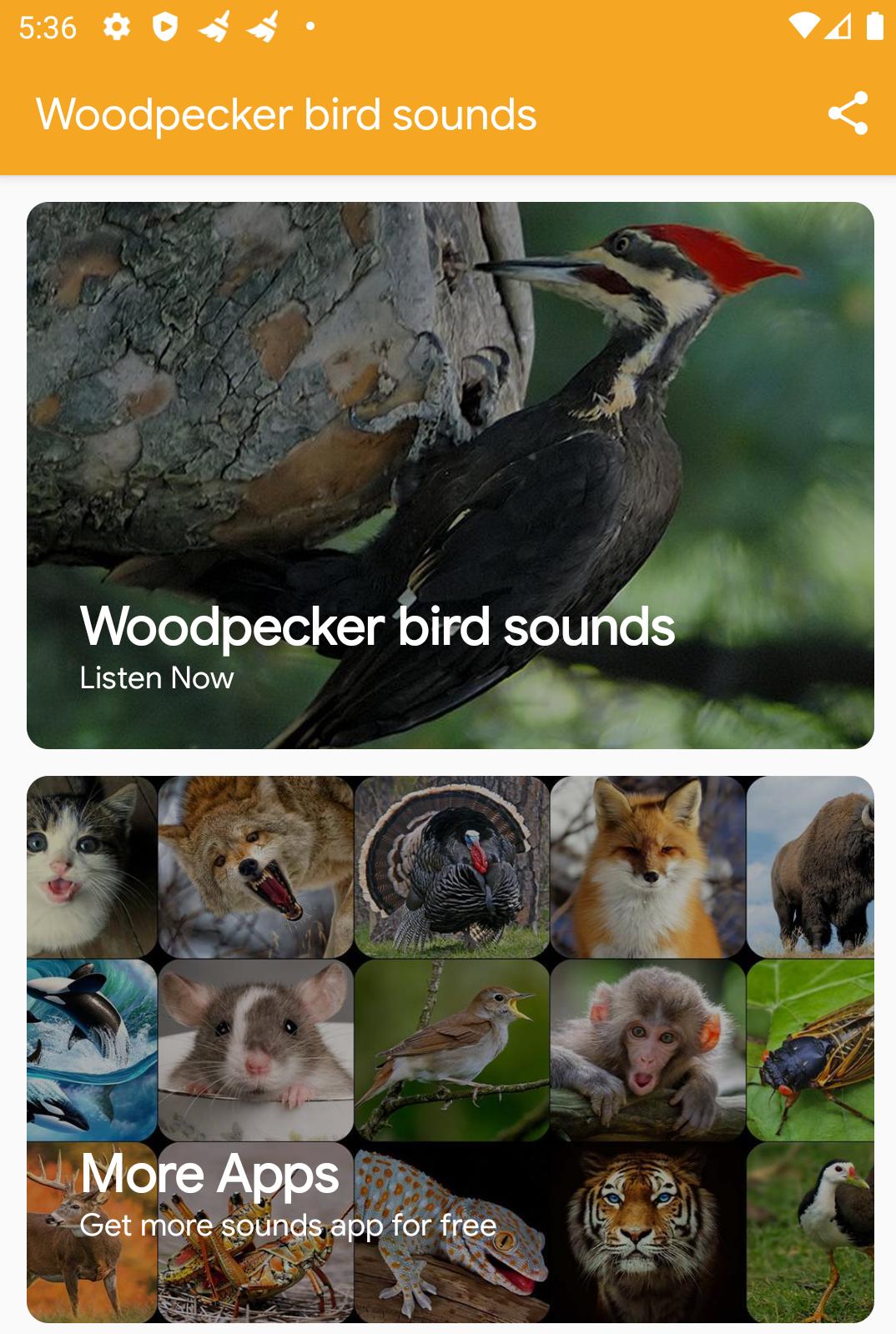 Woodpecker Bird Sounds For Android Apk Download