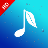 Wood - Rain Sounds - Sleep and Relax