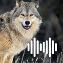 Wolf Hunting Calls APK