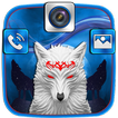 Wolf Moon Theme