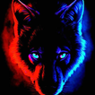 WOLF.NET