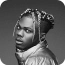 All Songs CKay 2023 Offline APK