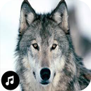 Wolf Sounds Ringtones APK