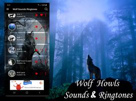 Wolf Sounds Ringtones Affiche