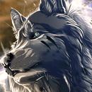 Wolf Wallpaper APK