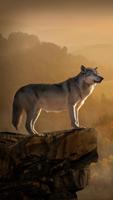 Wolf HD Wallpaper screenshot 3