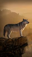 Wolf HD Wallpaper 스크린샷 3