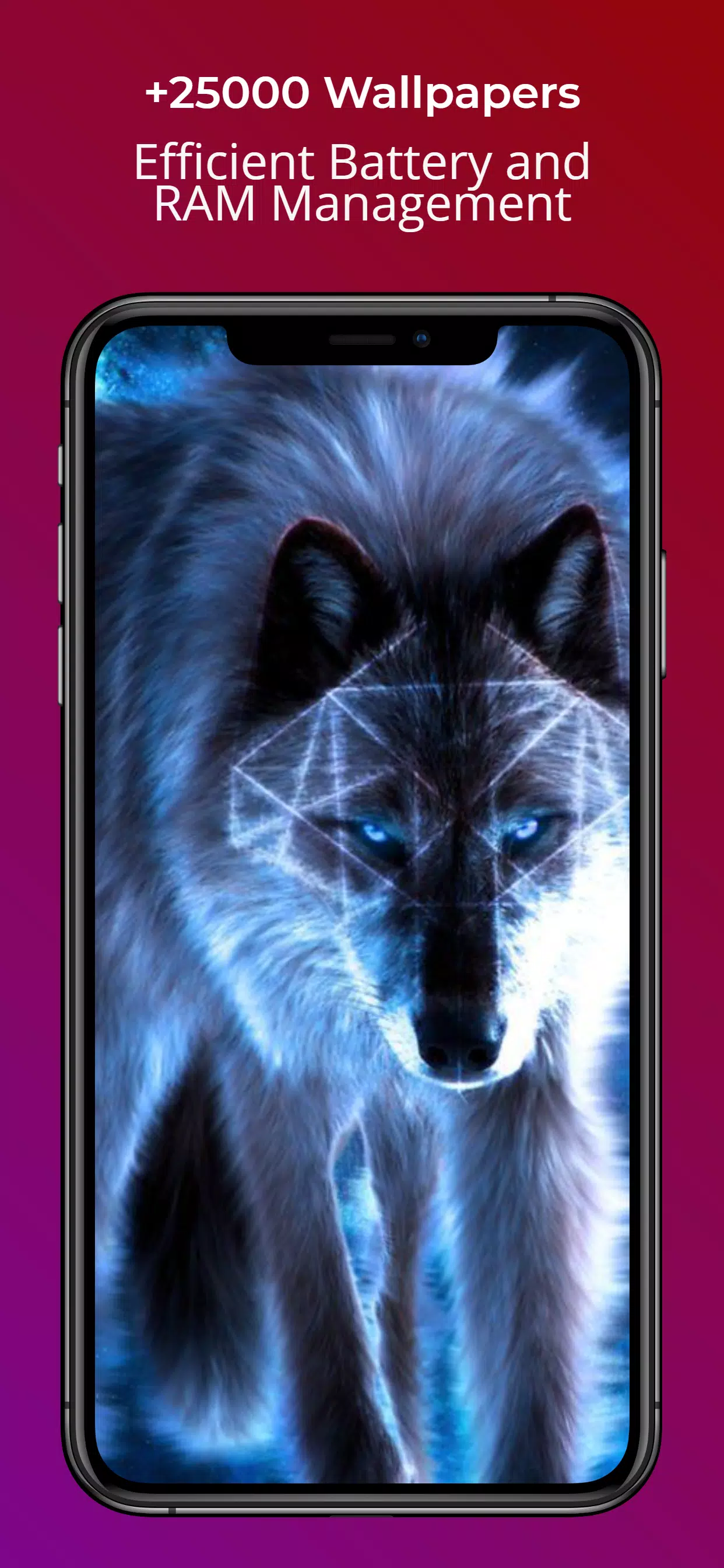 Wolf Wallpaper HD GIF Wallpapers 4K - SFXWALL APK for Android Download Wolf Wallpaper HD GIF Wallpapers 4K - SFXWALL APK for Android Download