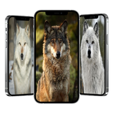 Loup Fond D'écran icône