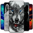 Fond d'écran de loup APK