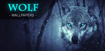 Обои Волки