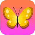 Triple Butterfly