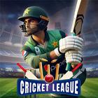 T20 Cricket Champions League icône