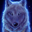 Wolf Live Wallpaper 4K icon