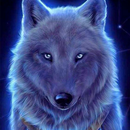 Wolf Live Wallpaper 4K APK