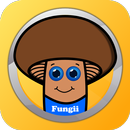 Fungii - cute virtual pet game APK