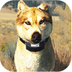 Wolfquest Game Walkthrough
