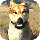 Wolfquest Game Walkthrough icône