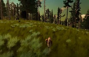 Wolfquest Game Walkthrough Affiche