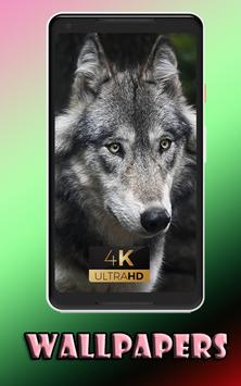 apkpure com