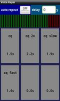 Ham Radio Voice Keyer capture d'écran 2