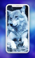 Wolf Wallpaper ـ Wolves capture d'écran 1