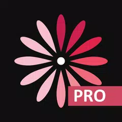 WomanLog-Pro-Kalender