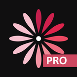 WomanLog Pro Kalendarz
