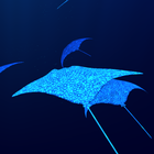 Mantaray Live Wallpaper آئیکن