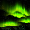 ”Aurora Borealis Live Wallpaper