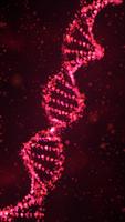 Particle DNA Live Wallpaper screenshot 2