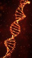 Particle DNA Live Wallpaper screenshot 3