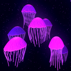 Jellyfish Live Wallpaper 3D icône