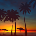 Palms Live Wallpaper