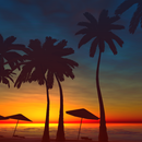 Palms Live Wallpaper APK