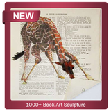 1000+ Book Art Sculpture icône