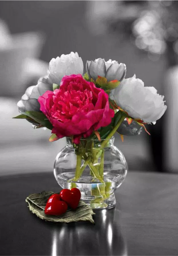 Descarga de APK de Flores maravillosas para Android Descarga de APK de Flores maravillosas para Android