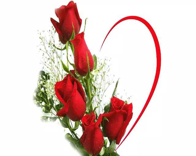 Descarga de APK de Flores maravillosas para Android Descarga de APK de Flores maravillosas para Android