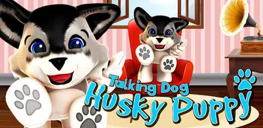 Talking Dog Husky Puppy